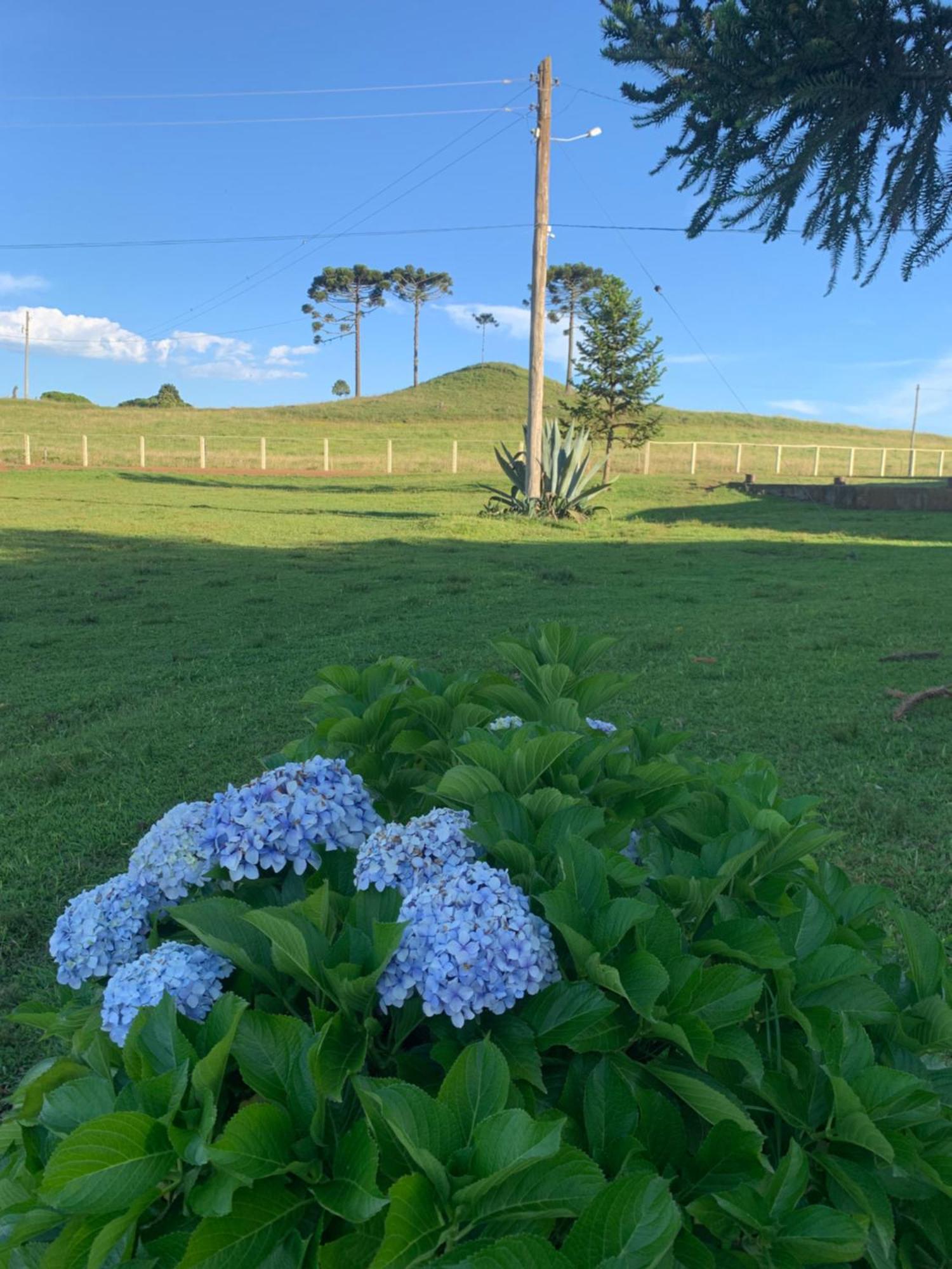 Pousada Fazenda Paim Sao Jose dos Ausentes Dış mekan fotoğraf