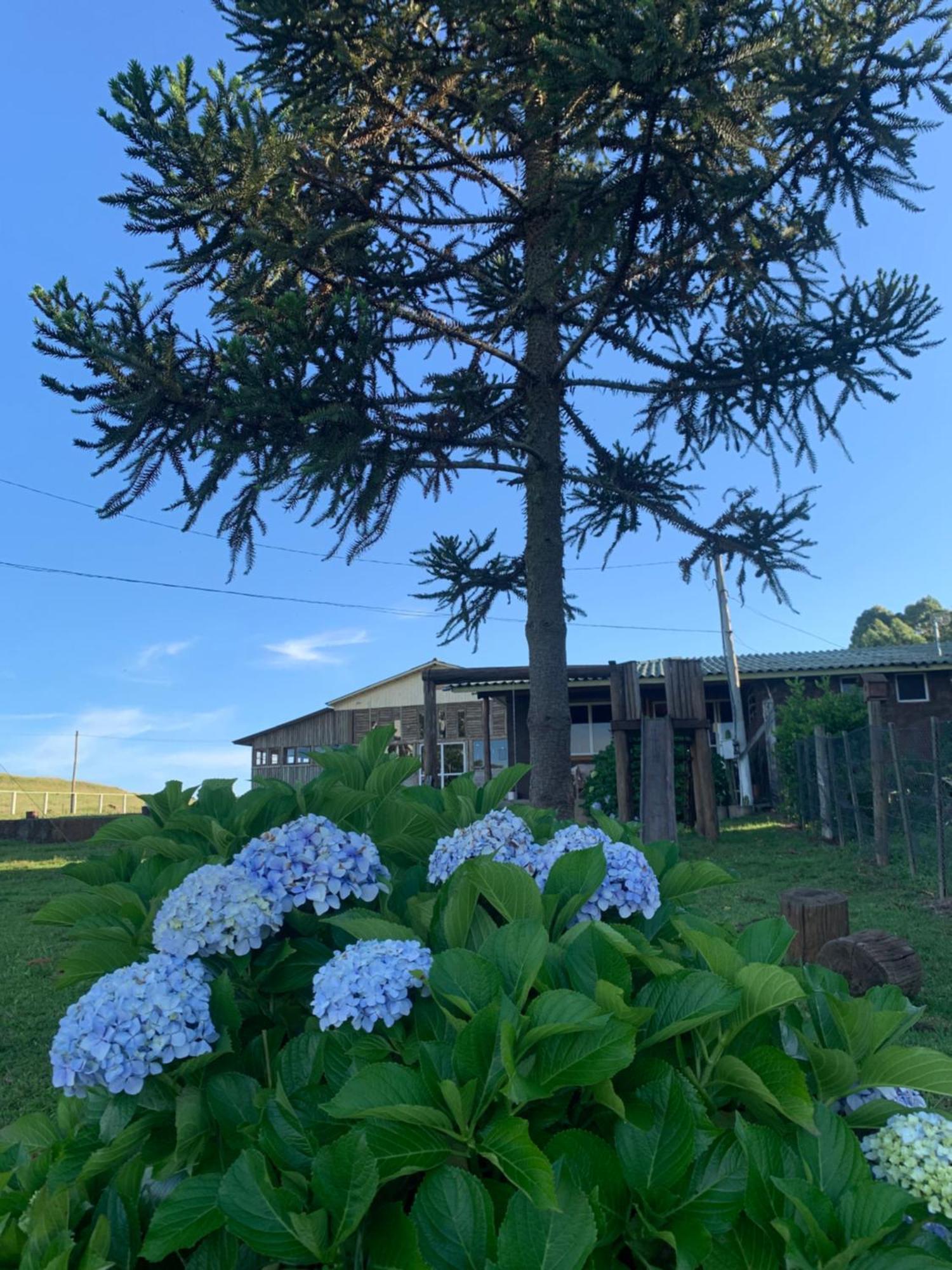 Pousada Fazenda Paim Sao Jose dos Ausentes Dış mekan fotoğraf