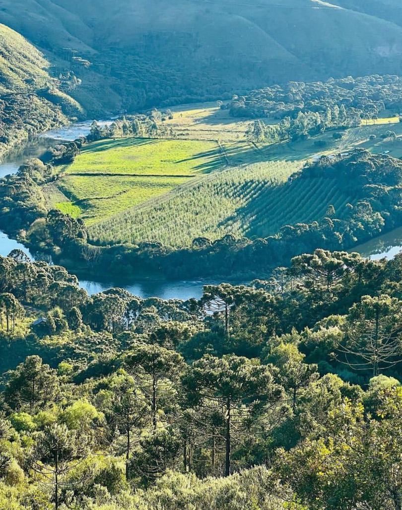 Pousada Fazenda Paim Sao Jose dos Ausentes Dış mekan fotoğraf
