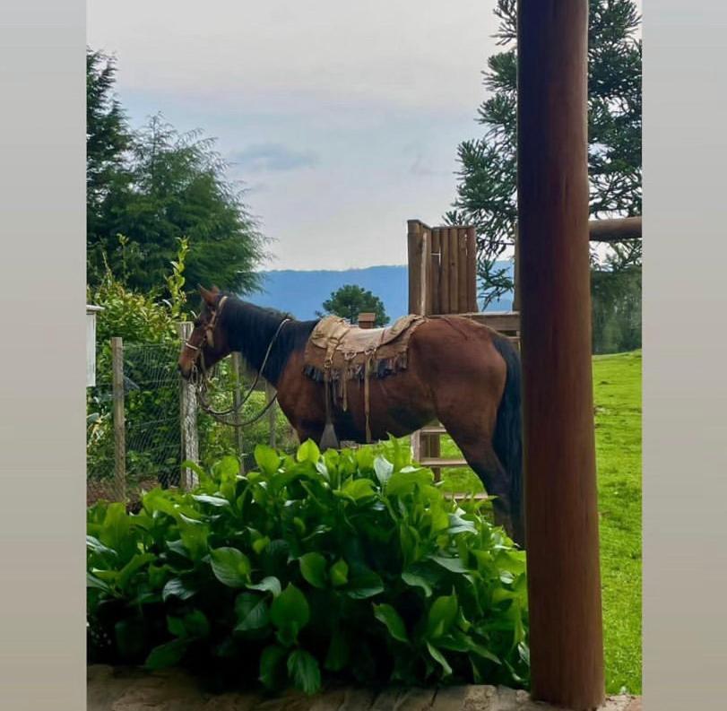 Pousada Fazenda Paim Sao Jose dos Ausentes Dış mekan fotoğraf