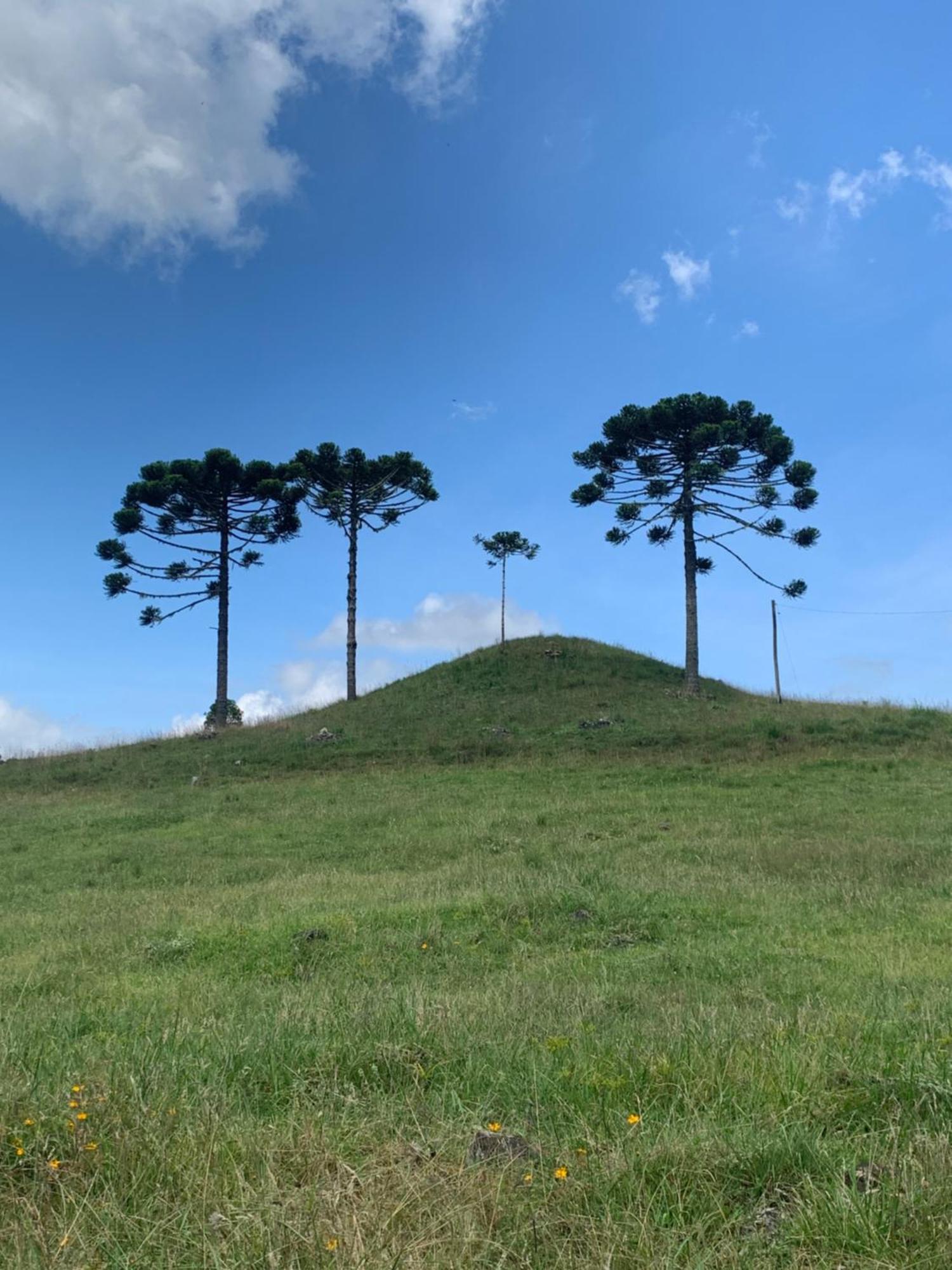 Pousada Fazenda Paim Sao Jose dos Ausentes Dış mekan fotoğraf